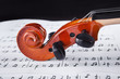 Violin And Musical Notes