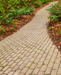fern brick path