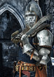 Armored knight with his sword