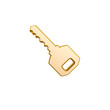 Illustration: golden key of car golden key of car