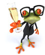 Fun frog