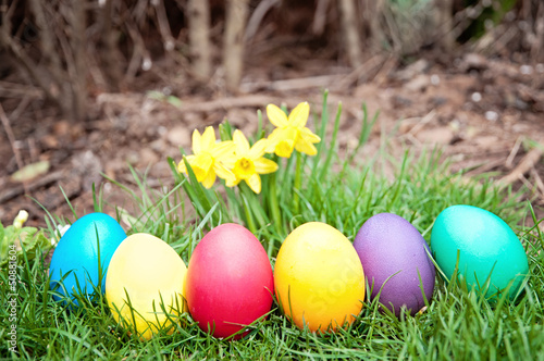 Photo: Easter Eggs in a row Easter Eggs in a row