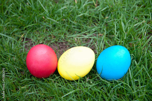 Photo: Egg hunt Egg hunt