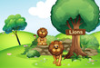 Two lions at the forest with a wooden signboard