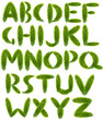 Foto: alphabet from green leaves isolated on white alphabet from green leaves isolated on white