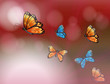 A Paper With Butterflies