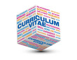 cube 3d curriculum vitae