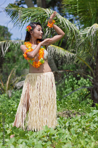 Photo: hawaii hula dancer hawaii hula dancer