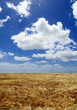 feld