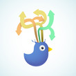 blue bird