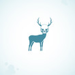 deer skull head