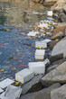 Rubbish in bay