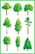 Geometric trees