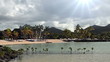 tropical beach