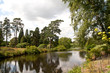 View down a river to water-lillies
