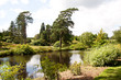 Quiet stretch of river in Spring