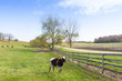 American Country Landscape