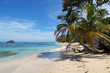 Wild sandy beach with an islet