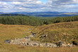 stream in the Scottish hills