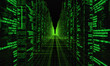 Digital information