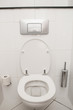 Toilet in the bathroom