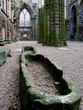 Holyrood