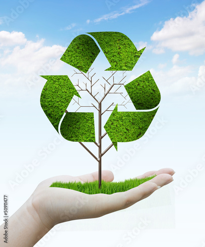 Photo: hand holding tree as a recycle symbol hand holding tree as a recycle symbol