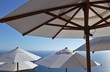 viele Sonnenschirme am Meer