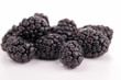 isolated blackberries on white background