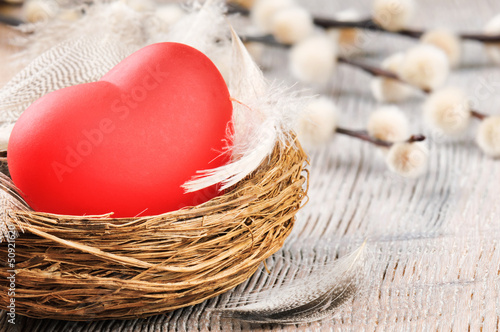 Photo: Red heart in the nest with feathers Red heart in the nest with feathers