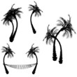 Vector: Vector Palm Trees Vector Palm Trees