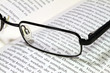 Lesebrille