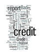 Bad Credit Report and its Implications