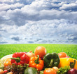 Photo: A huge pile of fresh vegetables on a sky and grass background A huge pile of fresh vegetables on a sky and grass background