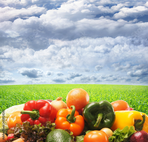 Photo: A huge pile of fresh vegetables on a sky and grass background A huge pile of fresh vegetables on a sky and grass background