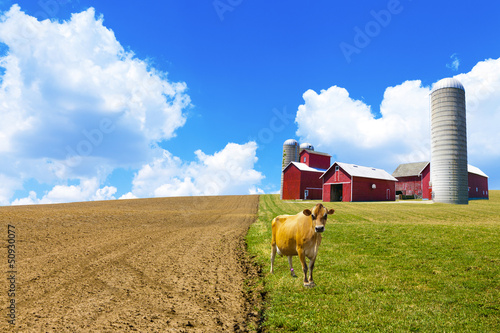 Photo: American Countryside American Countryside
