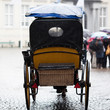 alte Pferdekutsche in Gent bei Regen