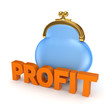 Profit concept.