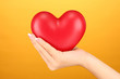 Red heart in woman's hand, on orange background close-up