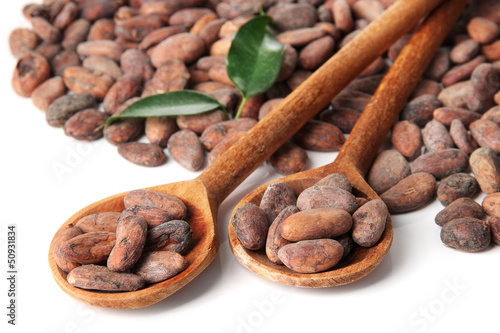 Photo: Cocoa beans in wooden spoons with leaves, isolated on white Cocoa beans in wooden spoons with leaves, isolated on white