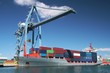 Great container ship working with special crane