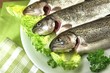 frische Forellen