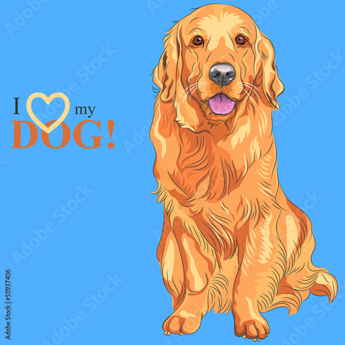 Vector: vector dog breed Golden Retriever vector dog breed Golden Retriever