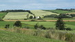 Pastoral Landscape. French River, PEI.
