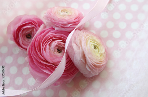 Photo: pink ranunculus flowers on polka dots pink ranunculus flowers on polka dots