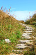 mountain hiking path