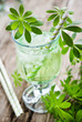 maibowle im glas