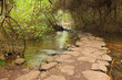 Road through creek