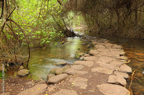 Photo: Road through creek Road through creek