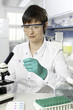 Scientist works in the lab